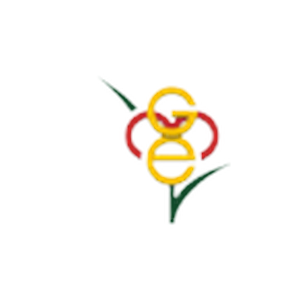 GEM Hospitals Logo